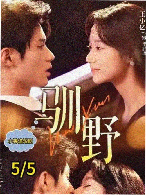 天龙影音 导演专访